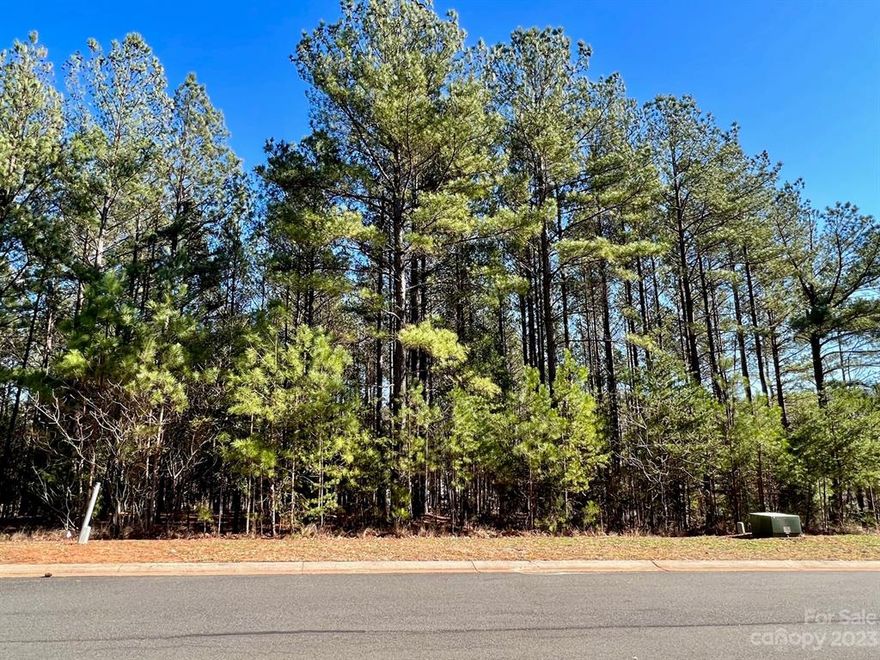 Beautiful Cul-De-Sac Lot For Your Own Custom Builder Or Use One Of The Community Trusted Partners To Build Your Dream Home And Live Your Best Lake Life! Enjoy All The Perks Of Reflection Pointe, From The Privacy Of Being A Gated Community, To The Private Beach Access, To The Marina And Boat Storage Options, This Neighborhood Is Calling Your Name! Belmont, NC Is One Of The Fastest Growing And Desirable Areas In The Charlotte Metro Region, So Claim Your Piece Of It Today!