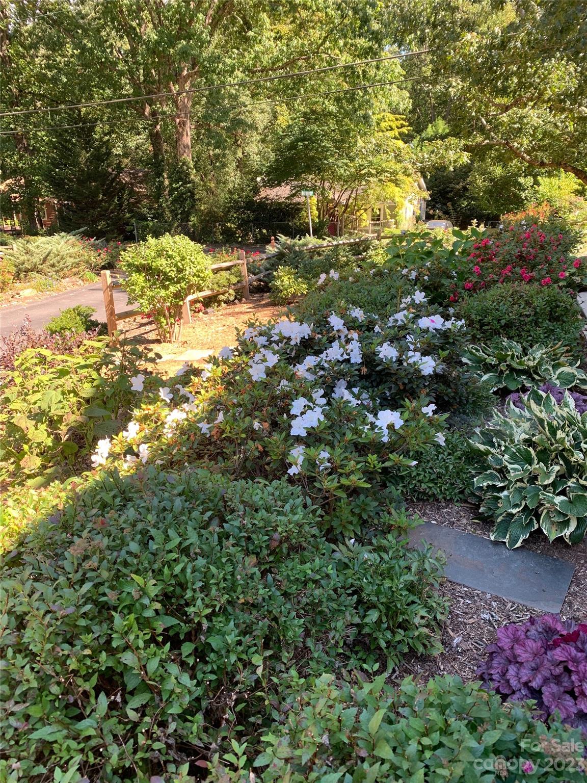 Sandy Branch - Residential