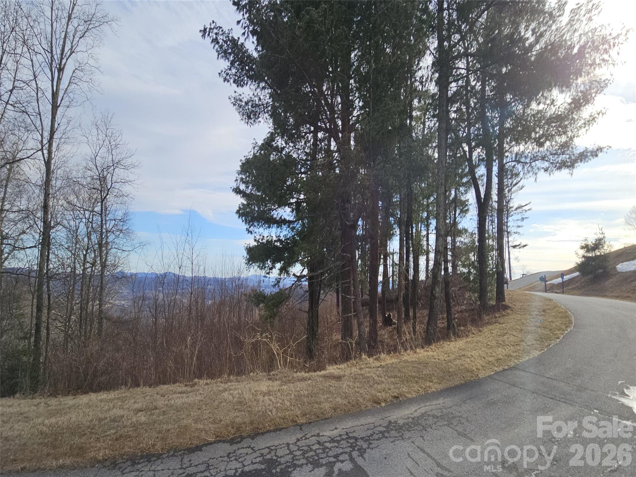 #178 Dancing Bear Drive