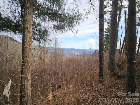 #178 Dancing Bear Drive Hendersonville NC 28792