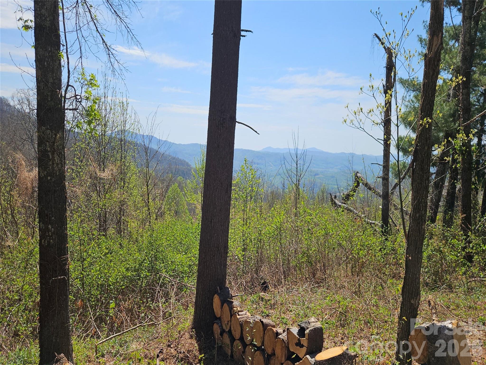 Grand Highlands at Bearwallow - Land