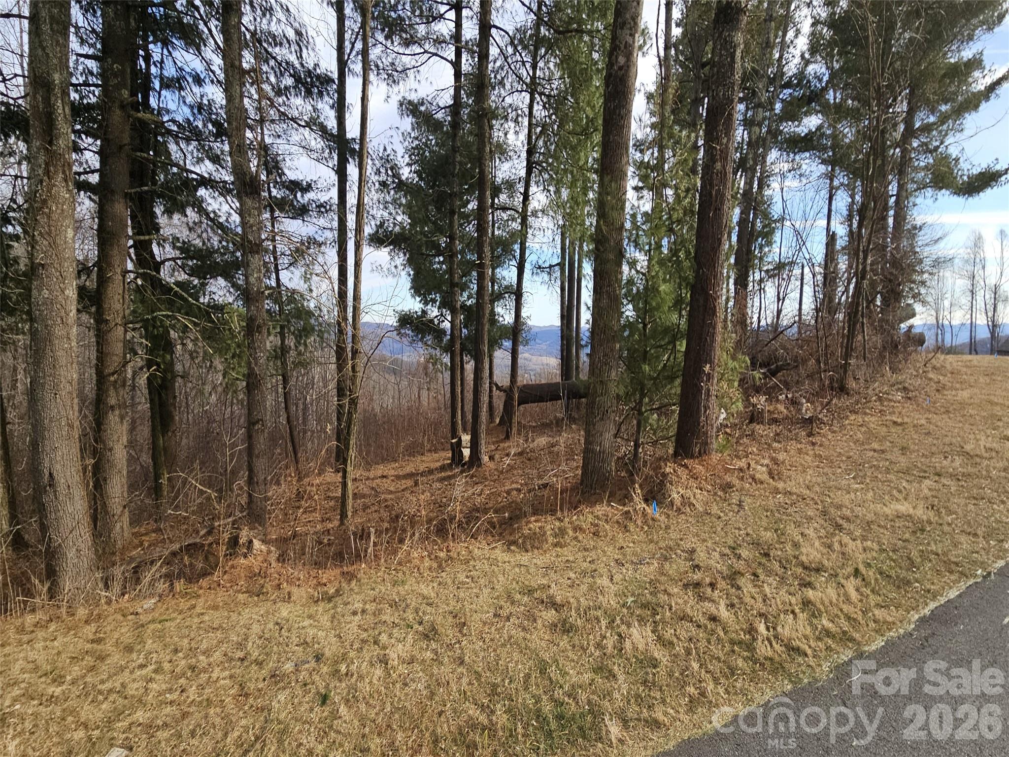 #178 Dancing Bear Drive