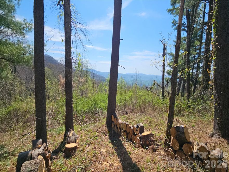 Build your dream home against a backdrop of breathtaking, long-range mountain views that stretch for miles. This exceptional lot offers the rare combination of natural beauty with a favorable building site giving you the best of both worlds. Enjoy stunning sunrises and peaceful evenings surrounded by scenic vistas, while still having access to city water and high-speed fiber optic internet. Whether you're planning a full-time residence or a weekend escape, you’ll stay connected without sacrificing tranquility. Lot 178 is located inside Grand Highlands at Bearwallow Mountain. One of Western NC's premier mountain-top communities.