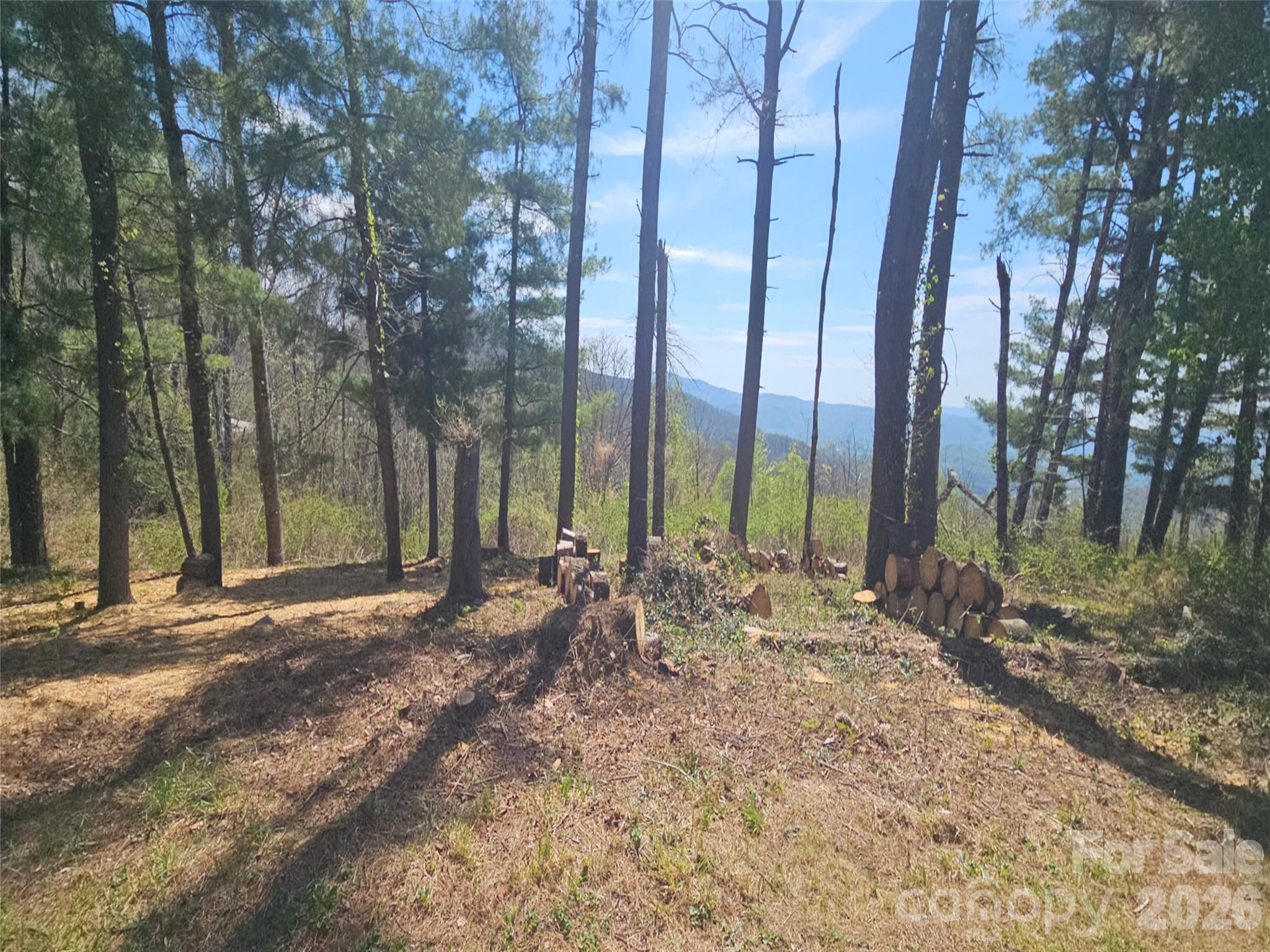 Grand Highlands at Bearwallow - Land