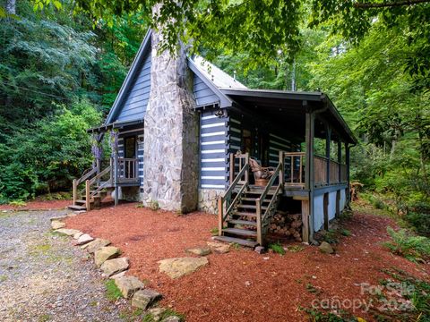 A home in Cedar Mountain