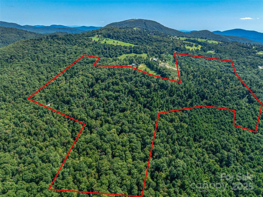 Discover an incredible opportunity to own 85 acres on Bearwallow Mountain, offering peace, privacy, and panoramic layered mountain views. This picturesque tract includes four adjoining parcels with six cleared homesites (and the potential for several more) plus a roughed-in roadbed for easy access.

Enjoy the charming off-the-grid “Passive Solar Shed”, fully equipped with solar power, inverter, battery bank, on-demand water heater, gas stovetop and oven, walk-in shower, and pantry. Fruit trees surround the shed, creating a serene retreat while you plan your dream estate or multi-family enclave.

A rare find with endless build and recreation possibilities — truly a once-in-a-lifetime opportunity to create your mountain sanctuary. Ask broker for video link!

Included Parcels:

PIN 9694-00-9884 (10.2 acres, Deed 3257-229)

PIN 9694-00-8474 (8.87 acres, Deed 3257-229)

PIN 9693-09-2847 (27.93 acres, Deed 4060-442)

PIN 9693-08-9823 (38.03 acres, Deed 1010-177)