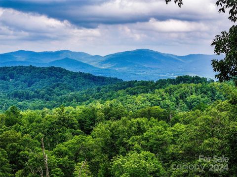 632 Justus Case Mountain Place Hendersonville NC 28792