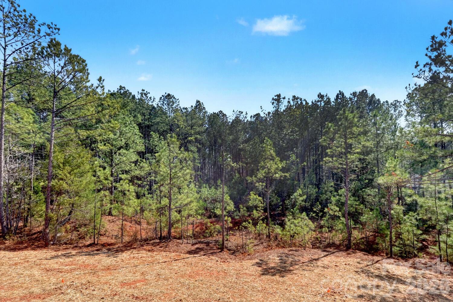 Riverchase Estates - Residential