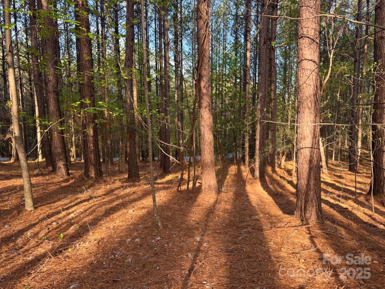 Clearwater Creek - Land