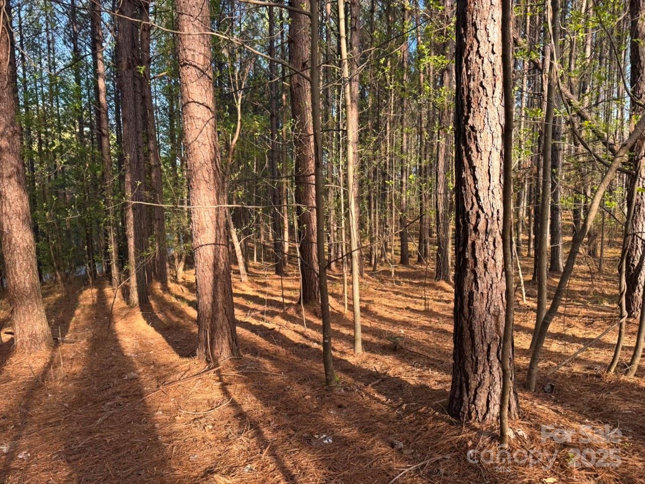 Clearwater Creek - Land