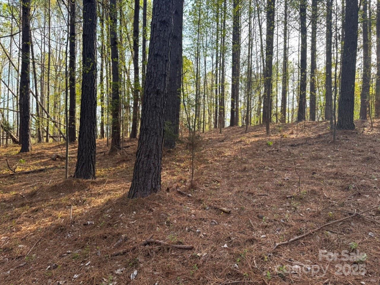 Clearwater Creek - Land