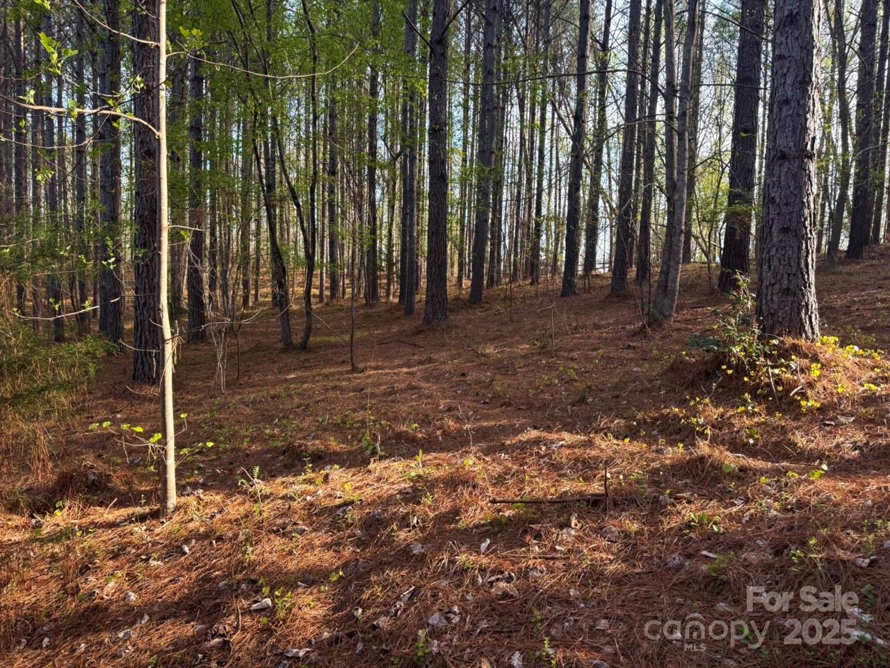 0 Clearwater Parkway