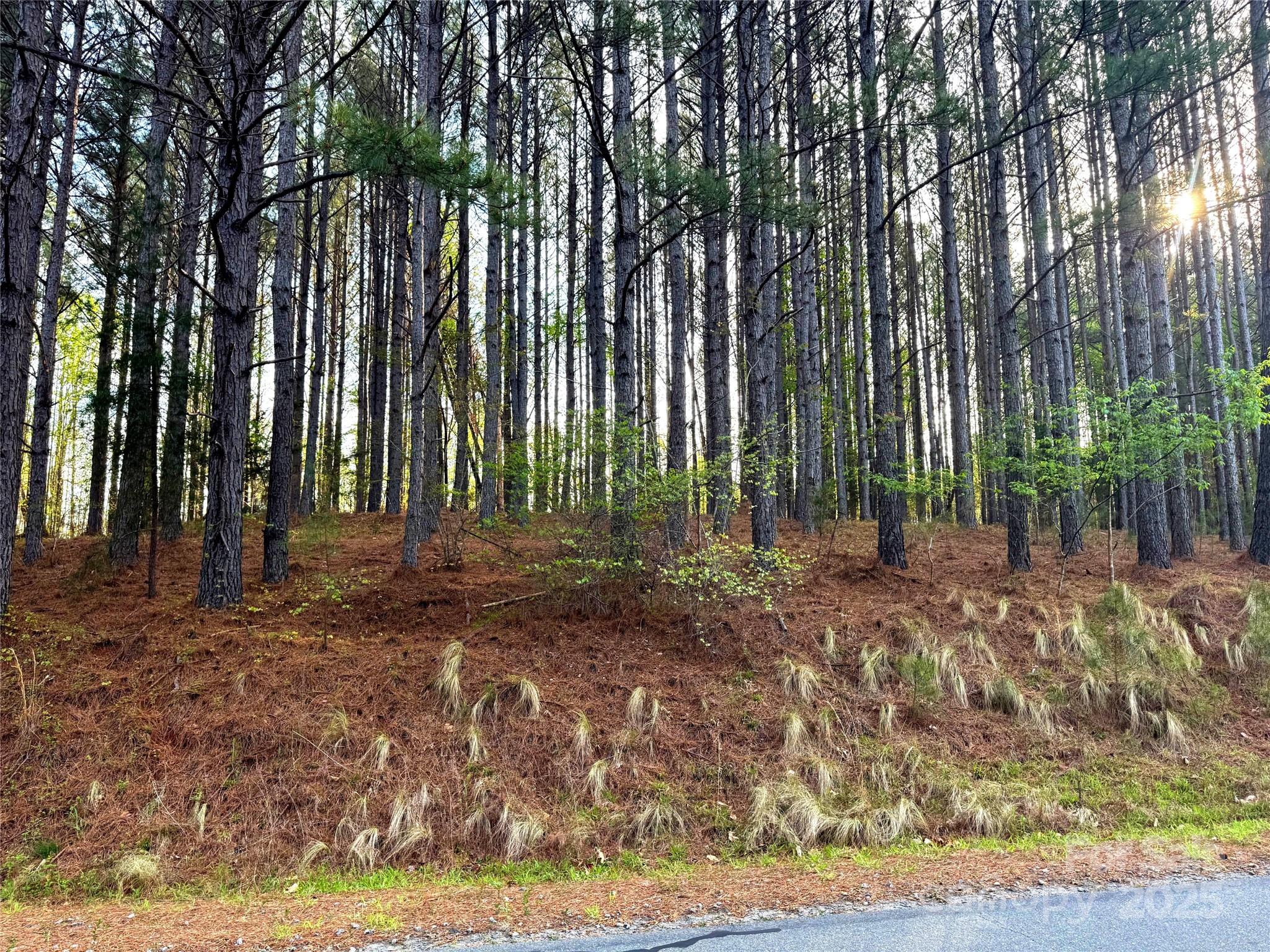 Clearwater Creek - Land