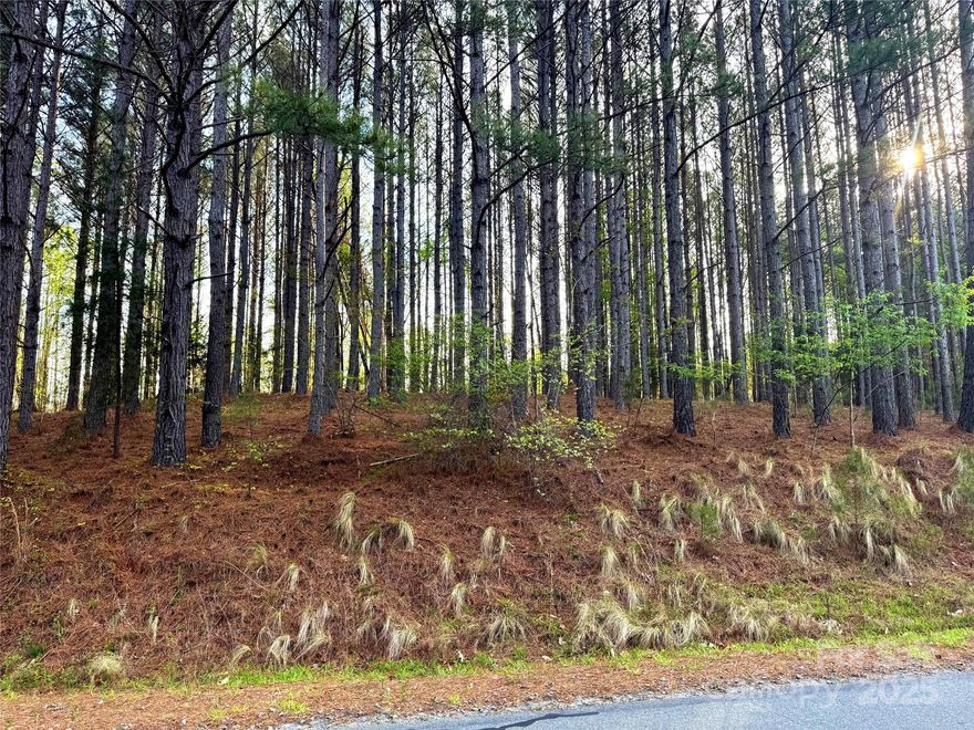 Beautiful and peaceful wooded lot in the lovely gated community of Clearwater Creek. With thin pines, small rolling hills and some nice flat lands, this is a great lot to build that home you have been dreaming of. There are several great homesites on this property and it is very close to the primary entrance at the main gate. Enjoy the chirping of birds, watching the squirrels play or take a walk down by the creek at the neighborhood park. This is a great place to call home. Come take a look today.