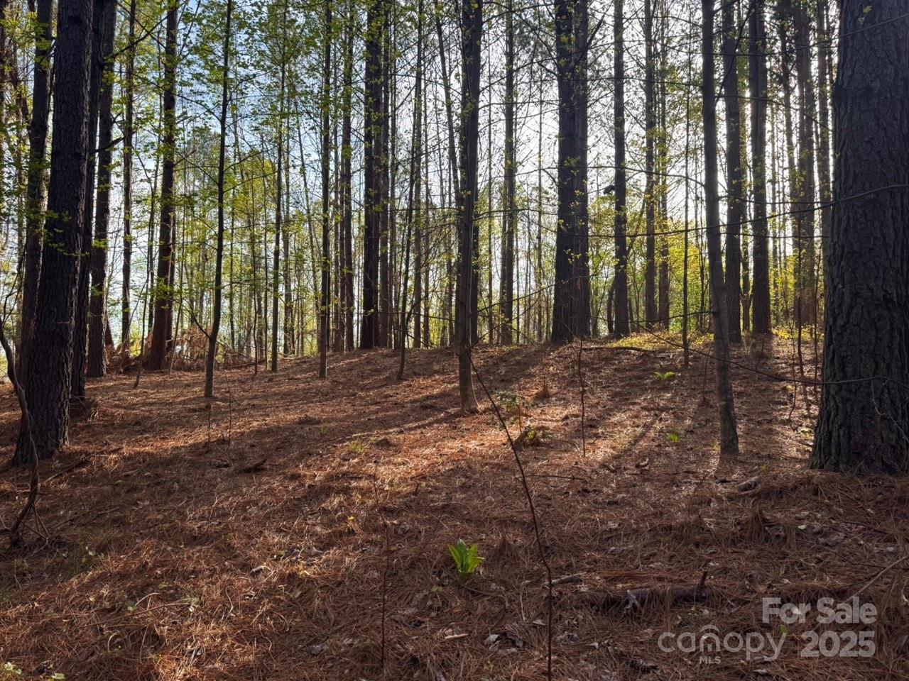 Clearwater Creek - Land