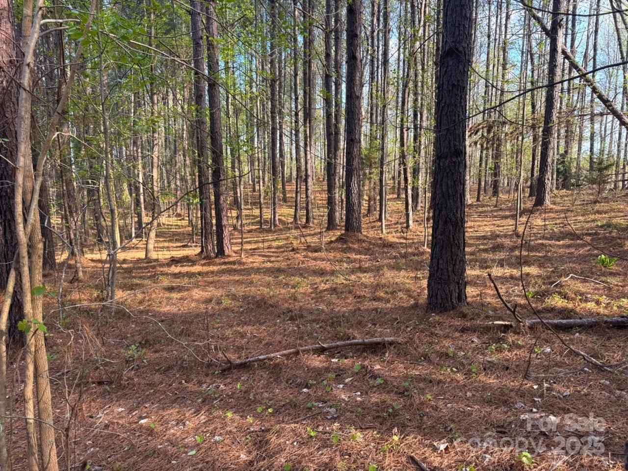 Clearwater Creek - Land