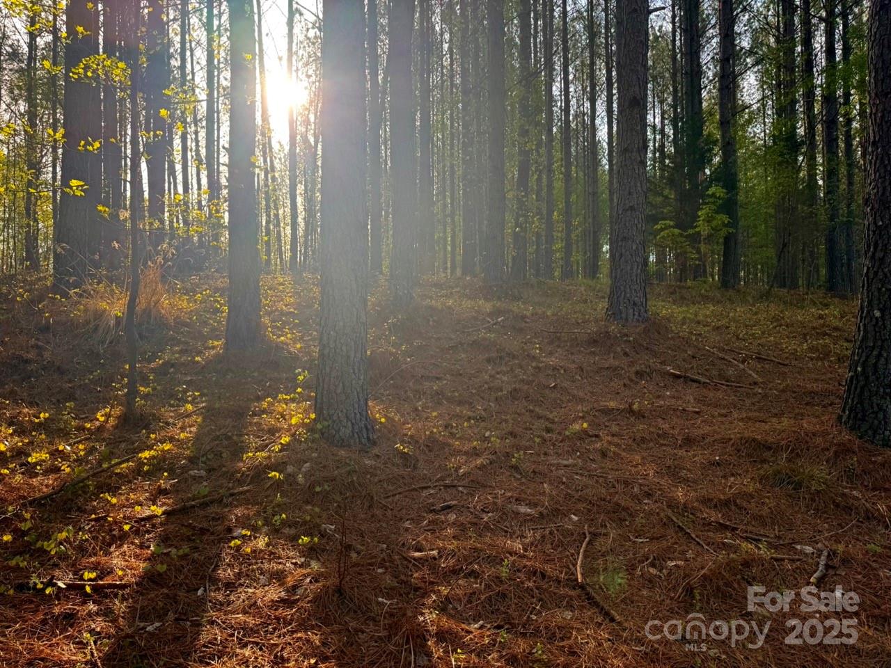 Clearwater Creek - Land