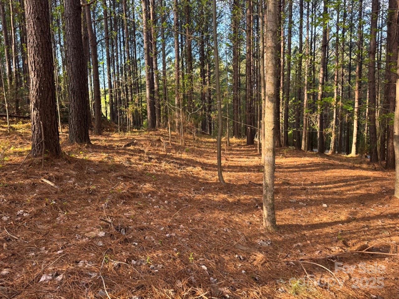 Clearwater Creek - Land