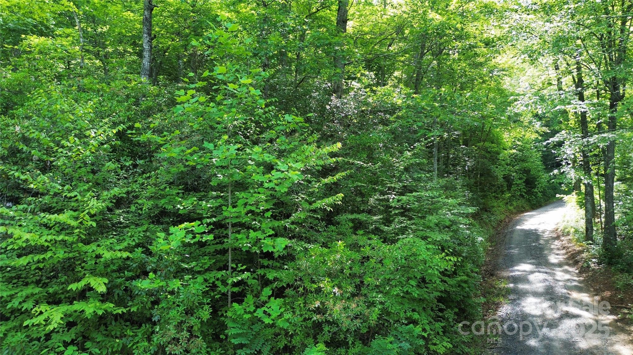 Lt 3 Falling Waters Road