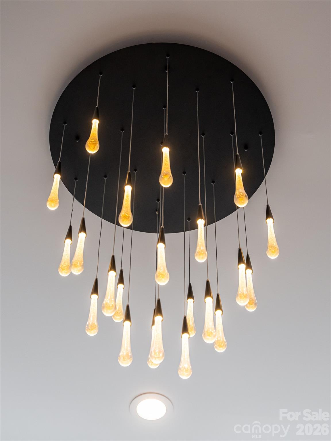 Candler View Estates - Residential