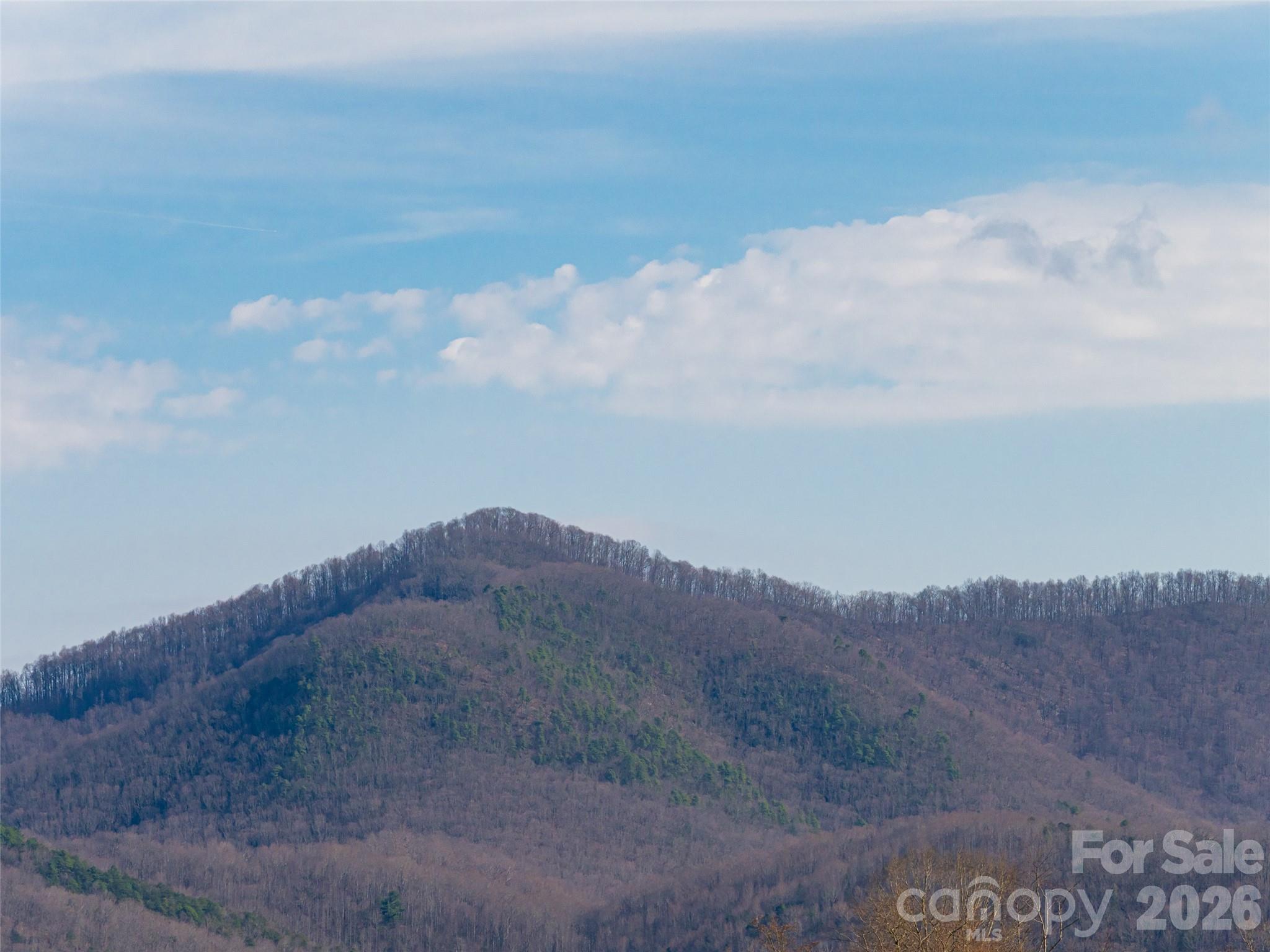 Candler View Estates - Residential