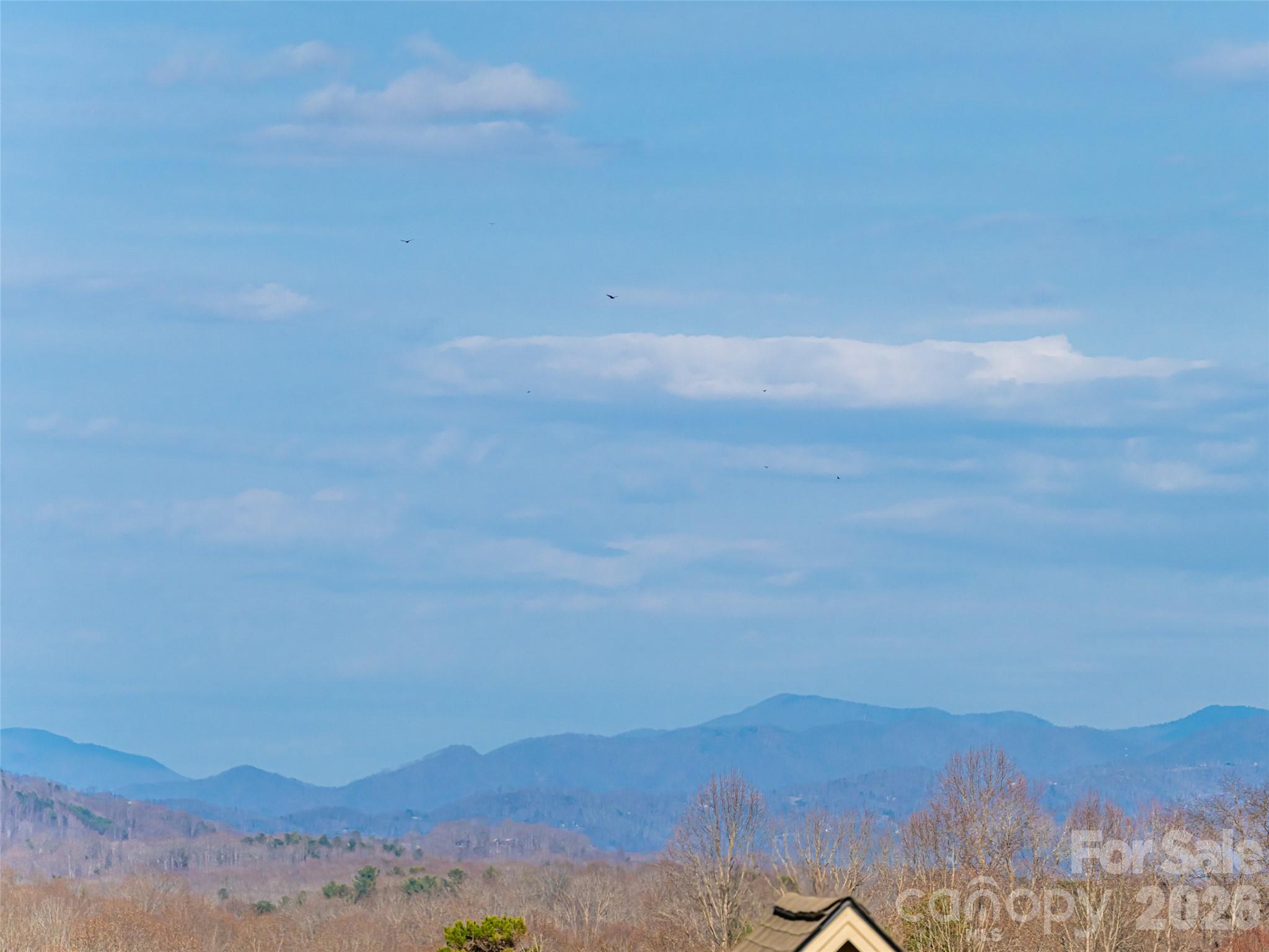 Candler View Estates - Residential