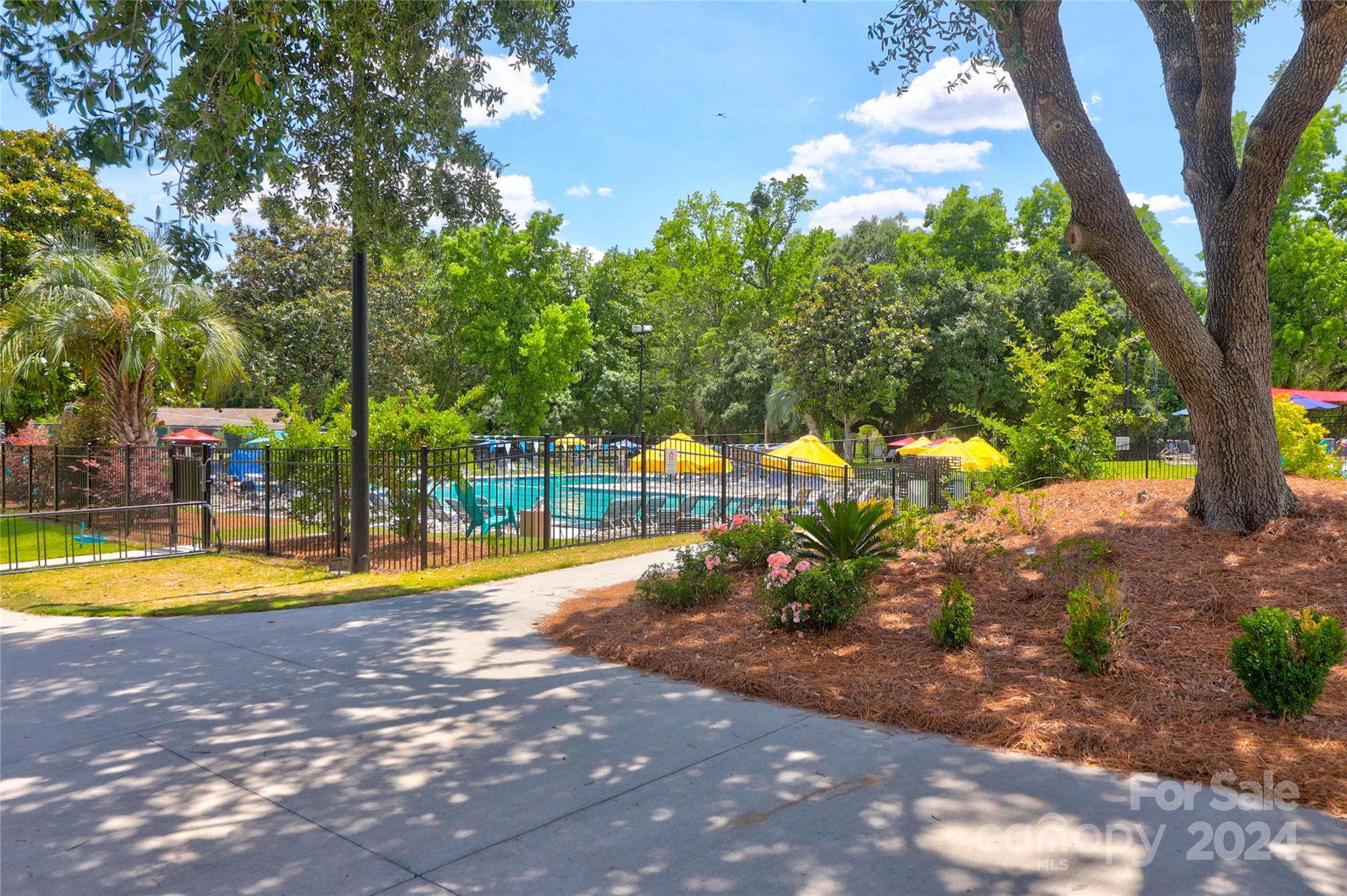 Shadow Moss - Residential