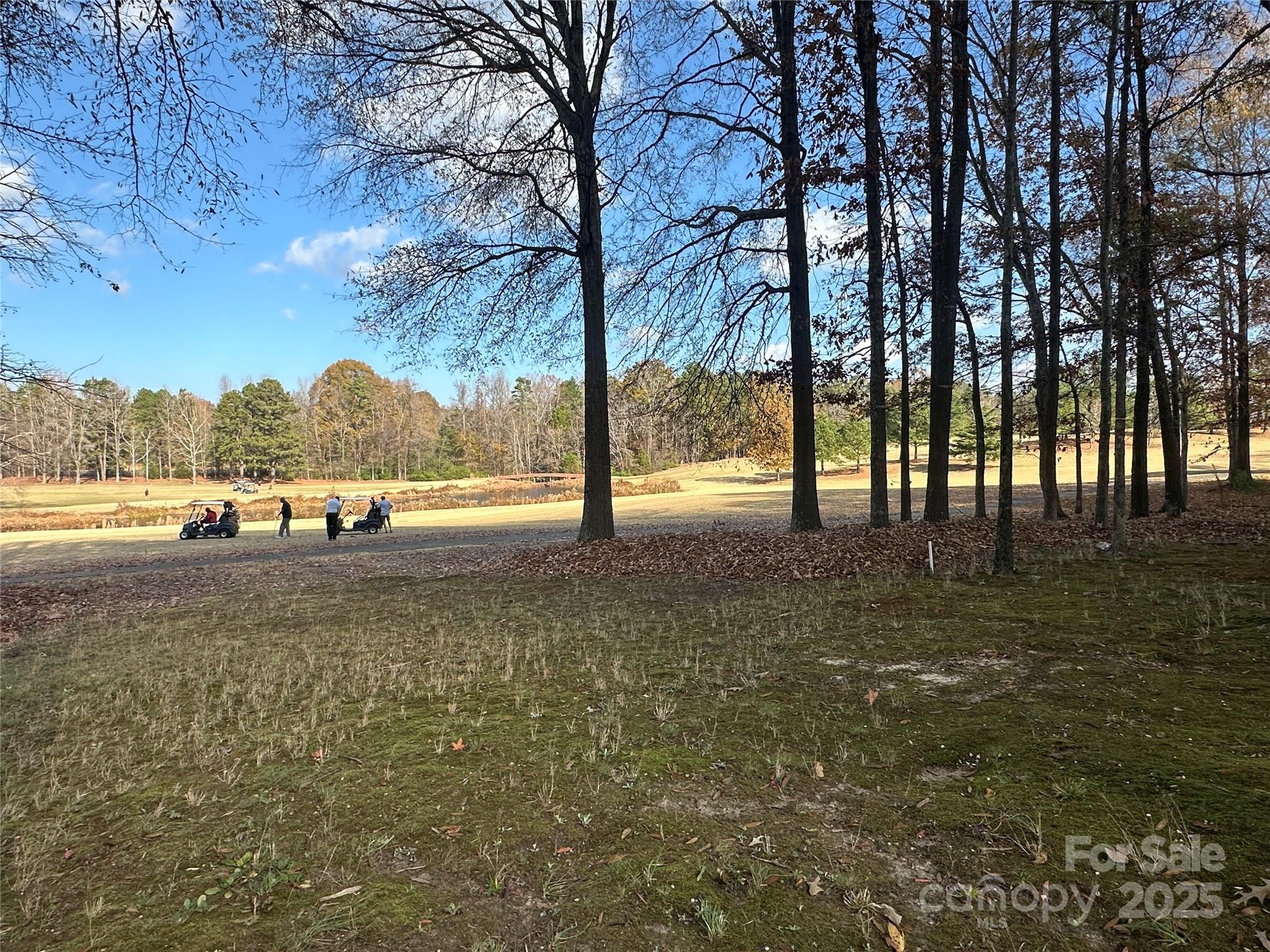 10915 Sycamore Club Drive