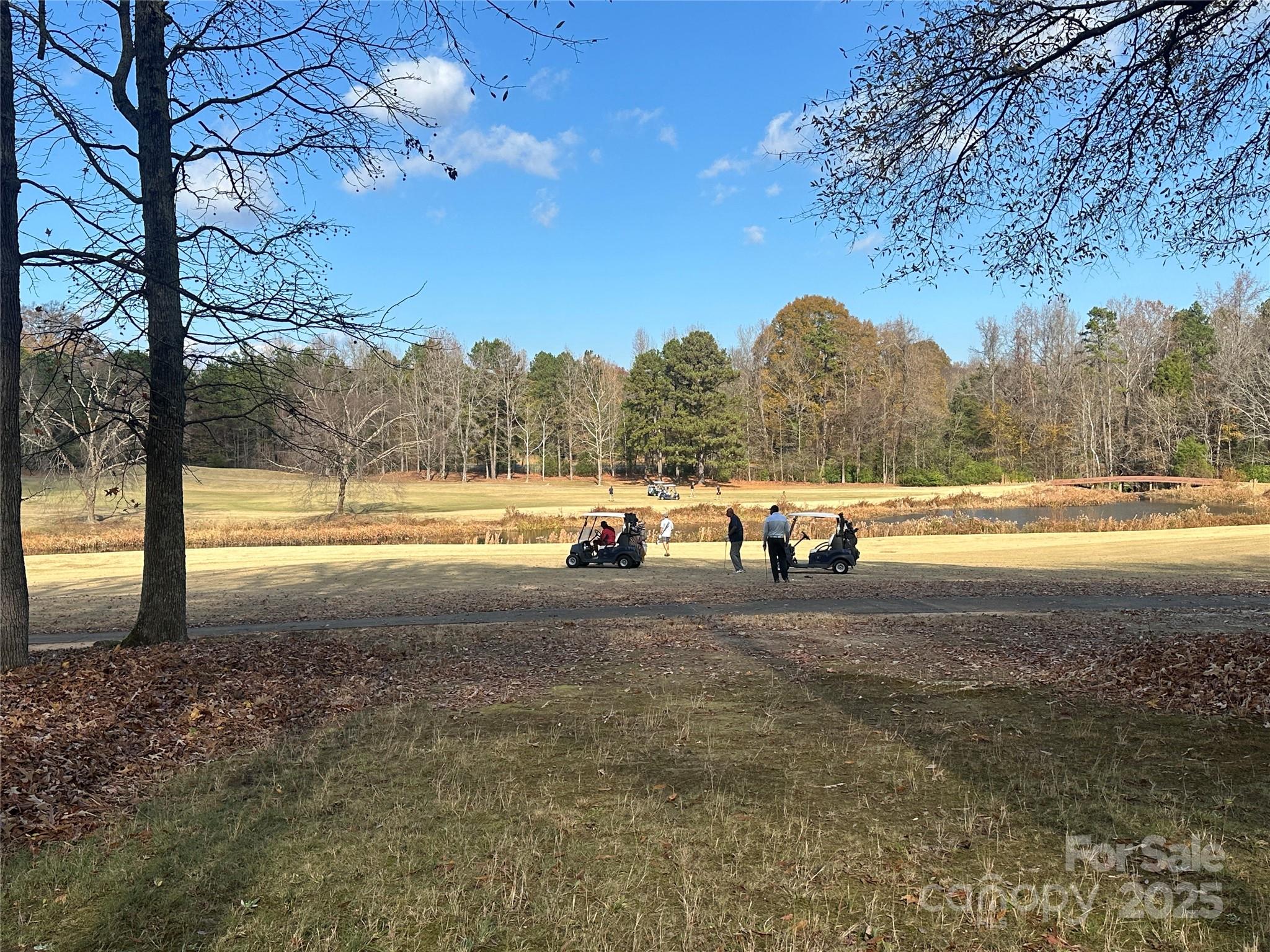 10915 Sycamore Club Drive