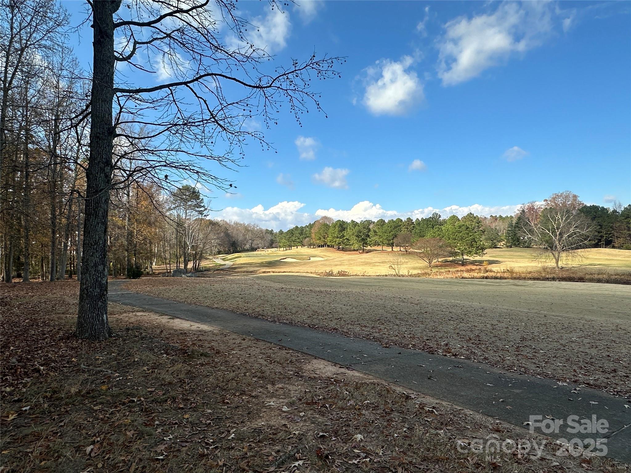 10915 Sycamore Club Drive