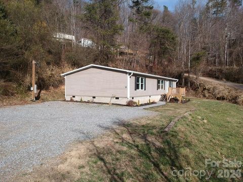 30 Parker Drive Candler NC 28715