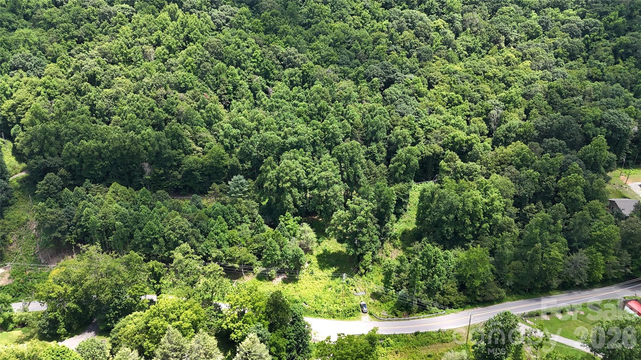 TBD Paint Fork Road