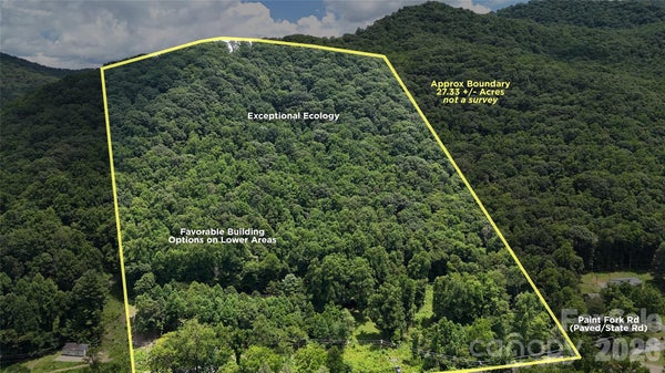 PAINT FORK RD, BARNARDSVILLE, NC 28709 - Image 85bd760ea5d153adc166d592fa04ddb9/2596367908