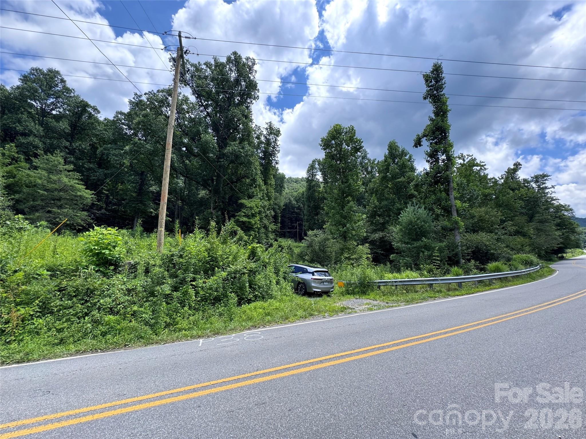 TBD Paint Fork Road