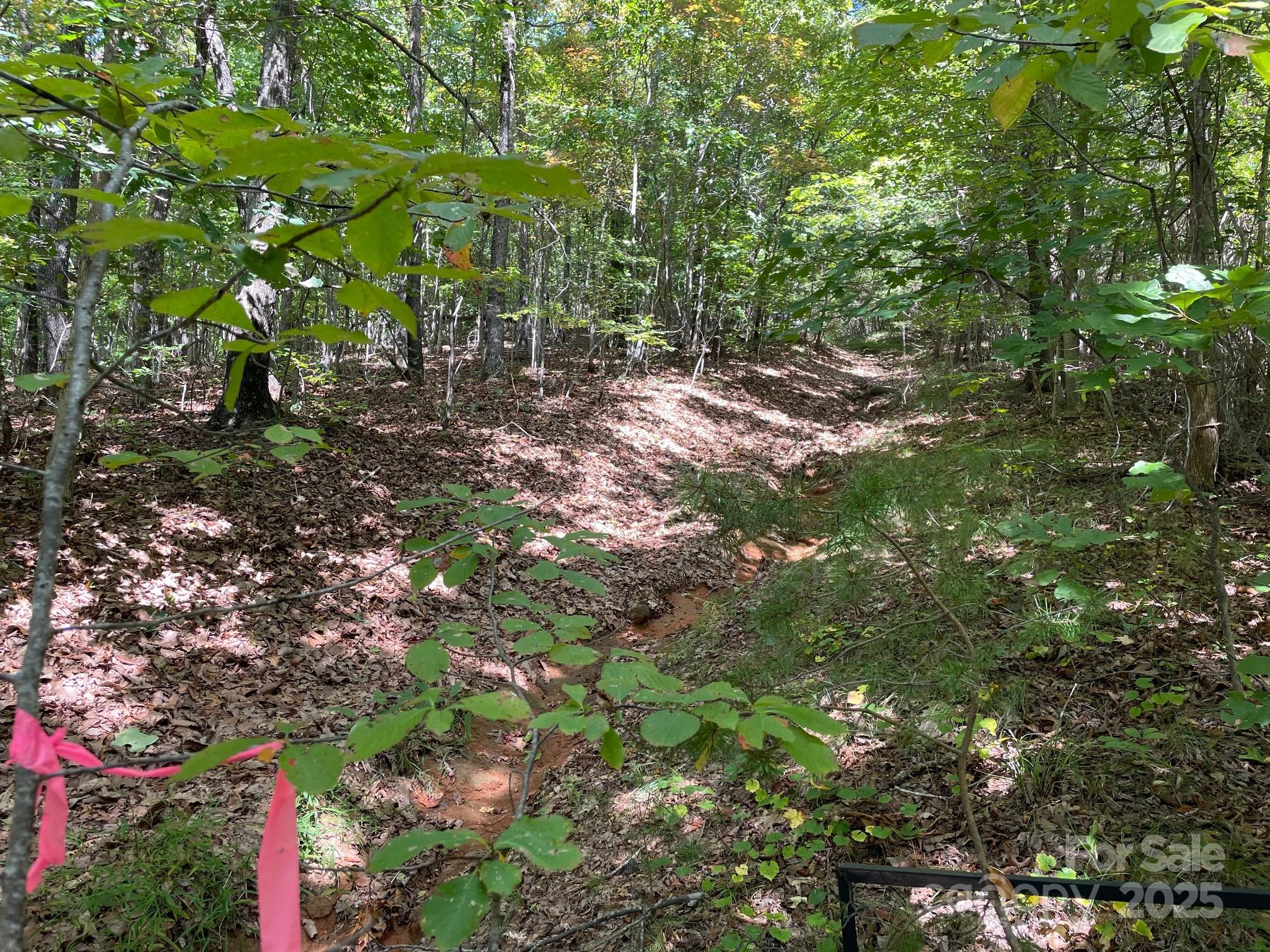 3901 High Peak Terrace