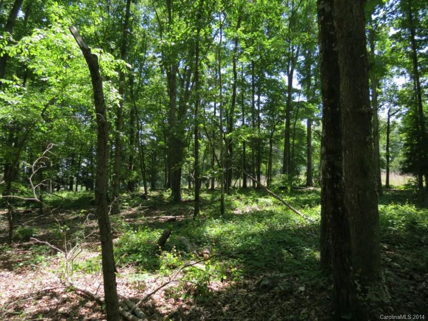 Beautiful tract of land that can be split into two 5 acre parcels.  Large hardwoods throughout with small creek in the back.  Land sits very high and has a great rolling topo.  Great place to build a home in the privacy of the open hardwoods.