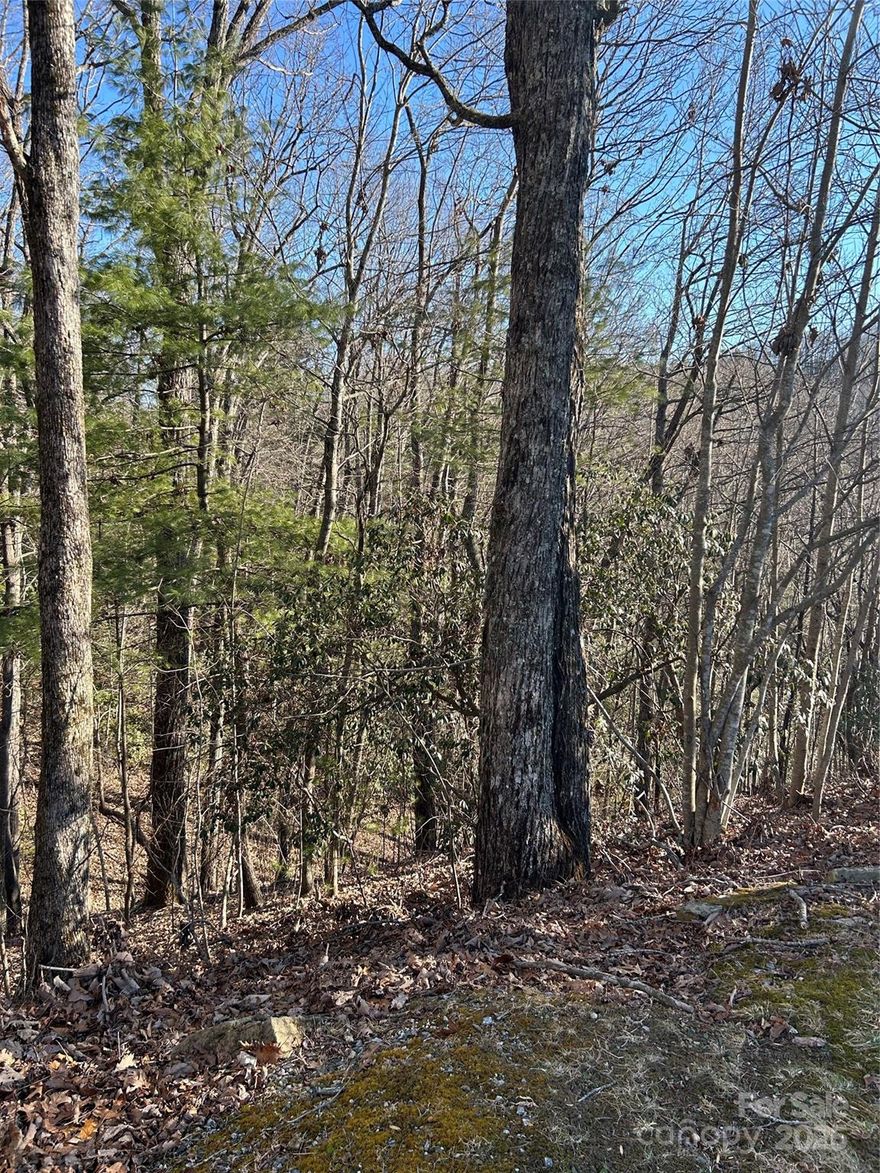 Motivated Seller! Nestled within a private, gated community on the peaceful outskirts of town, this secluded homesite offers the perfect balance of tranquility and convenience. Enjoy a short drive to charming downtown Hendersonville, where shopping, dining, and entertainment await.
Ideally located near everyday amenities, as well as outdoor adventures including hiking and sightseeing, this property is just minutes from the breathtaking views of Jump Off Rock.
Situated on a private, wooded lot at the end of a quiet cul-de-sac, this property provides the ideal setting to build your dream home surrounded by nature and serenity.