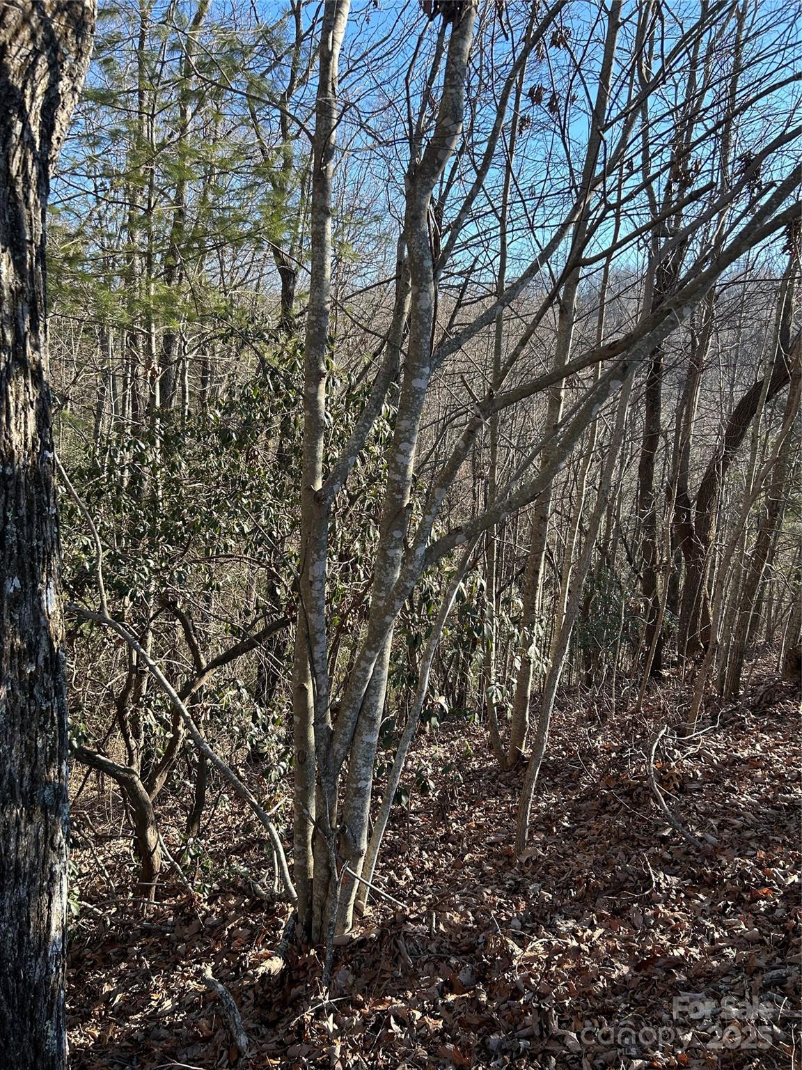 210 Thistlewynd Trail