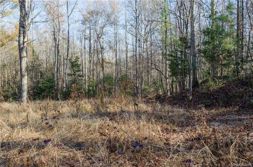 2.65 Vacant Lot in the custom neighborhood of Oxford Place. Ready for your NEW Custom home. Structure is being REMOVED!!  Well and Septic in Place.  
Min Square footage is 2500 to build.