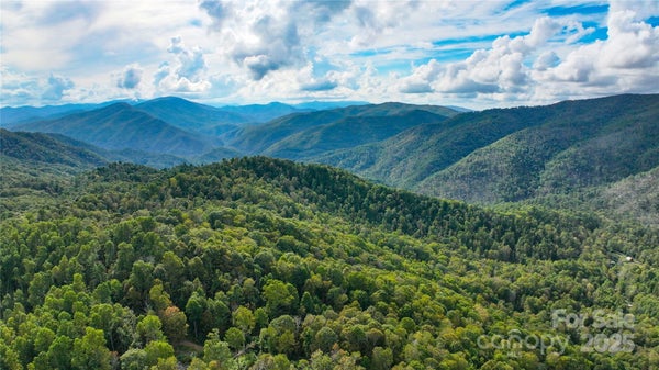 1154 POPLAR CREEK RD, GREEN MOUNTAIN, NC 28740 - Image 85d4175639d2d782015255ff2e84ff8e/3609335550