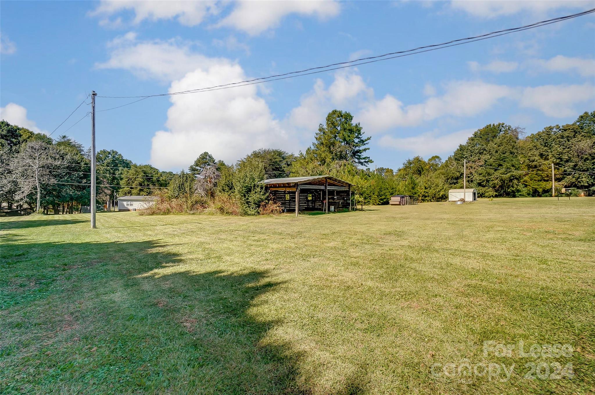 None - Residential Lease