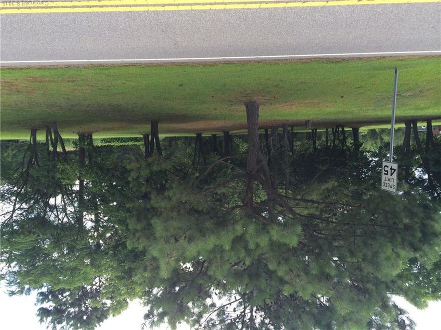 Just minutes from I-77, this wonderfully private property extends inward from the road almost to the golf course. Partially cleared, part wooded, including pecan trees in front. Electricity and gas available.