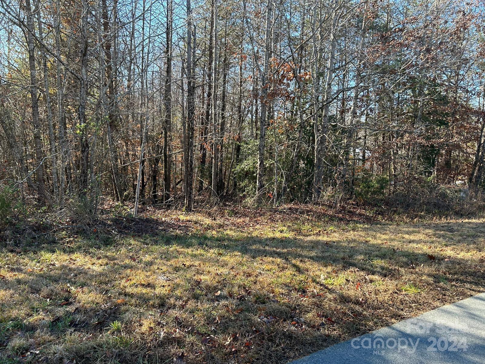 0 Dalmatian Street 143