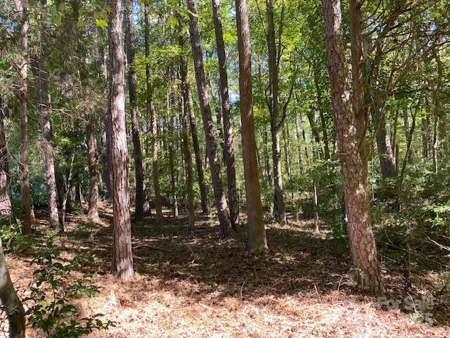 6045 C Campbell Road