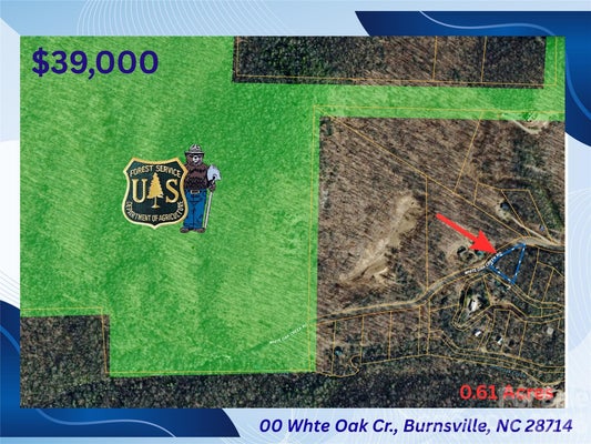 36 LAUREL CIR, BURNSVILLE, NC 28714 - Image 85f6008bfbe3eaefe534643dc7a24329/215661370