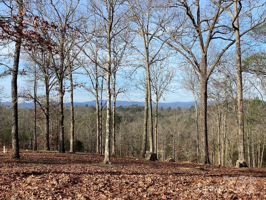 Photo 1 of 9 — 10 Arbor Creek Trail 10, Mineral Bluff, GA 30559