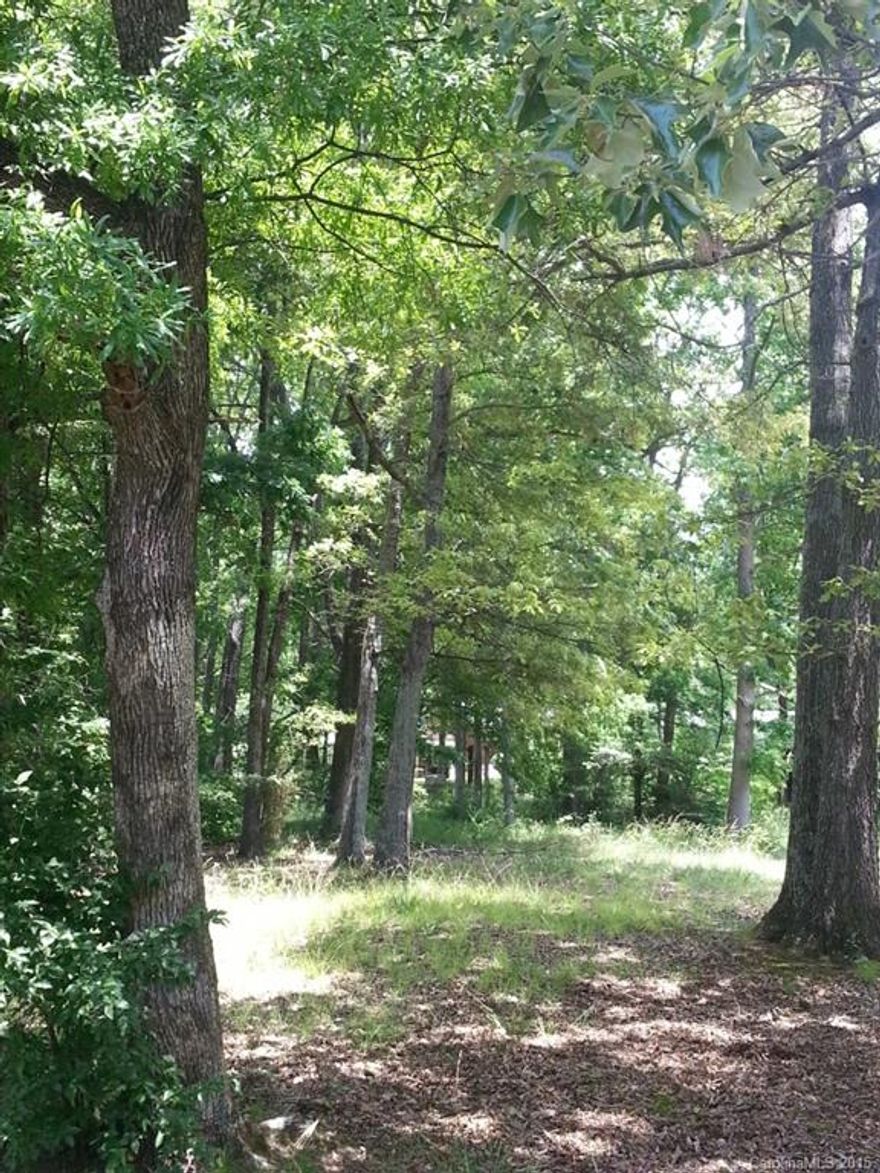 Quiet Neighborhood.  Easy access to Uptown ( Center City) Charlotte, interstates and Airport