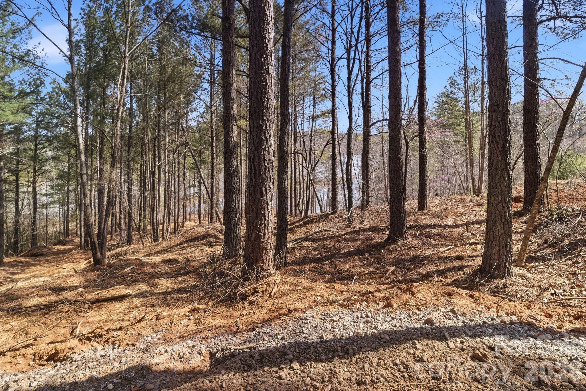 Lake Rhodhiss Estates - Land