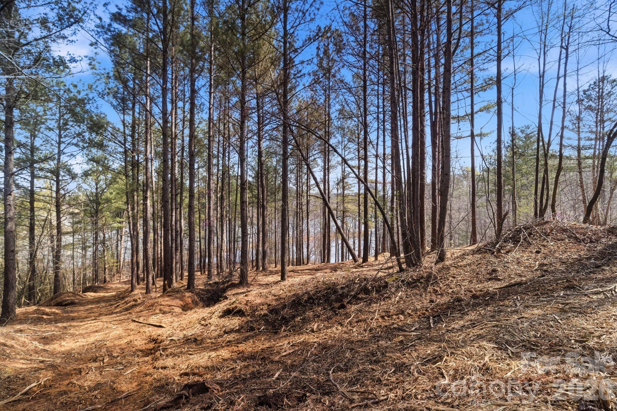 Lake Rhodhiss Estates - Land