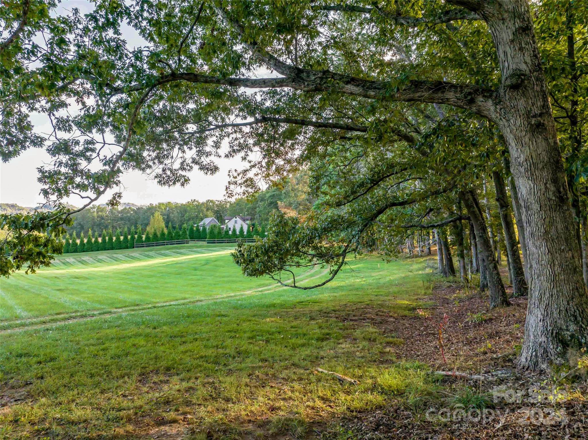 The Farm At Cane Creek - Land